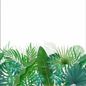 panneau jersey feuilles tropicales