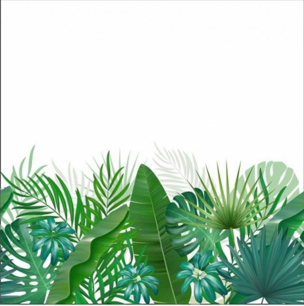 panneau jersey feuilles tropicales