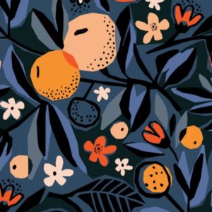 tissu canvas 'under one sky" oranges de nuit BIO