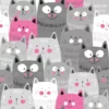 jersey chat gris