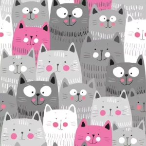 Jersey digital "cache-cache de chats"