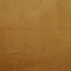 Velours côtes EXTENSIBLE Moutarde