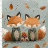 couverture les frerres renard 1