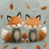 couverture les frerres renard