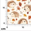 jersey herisson automne 3